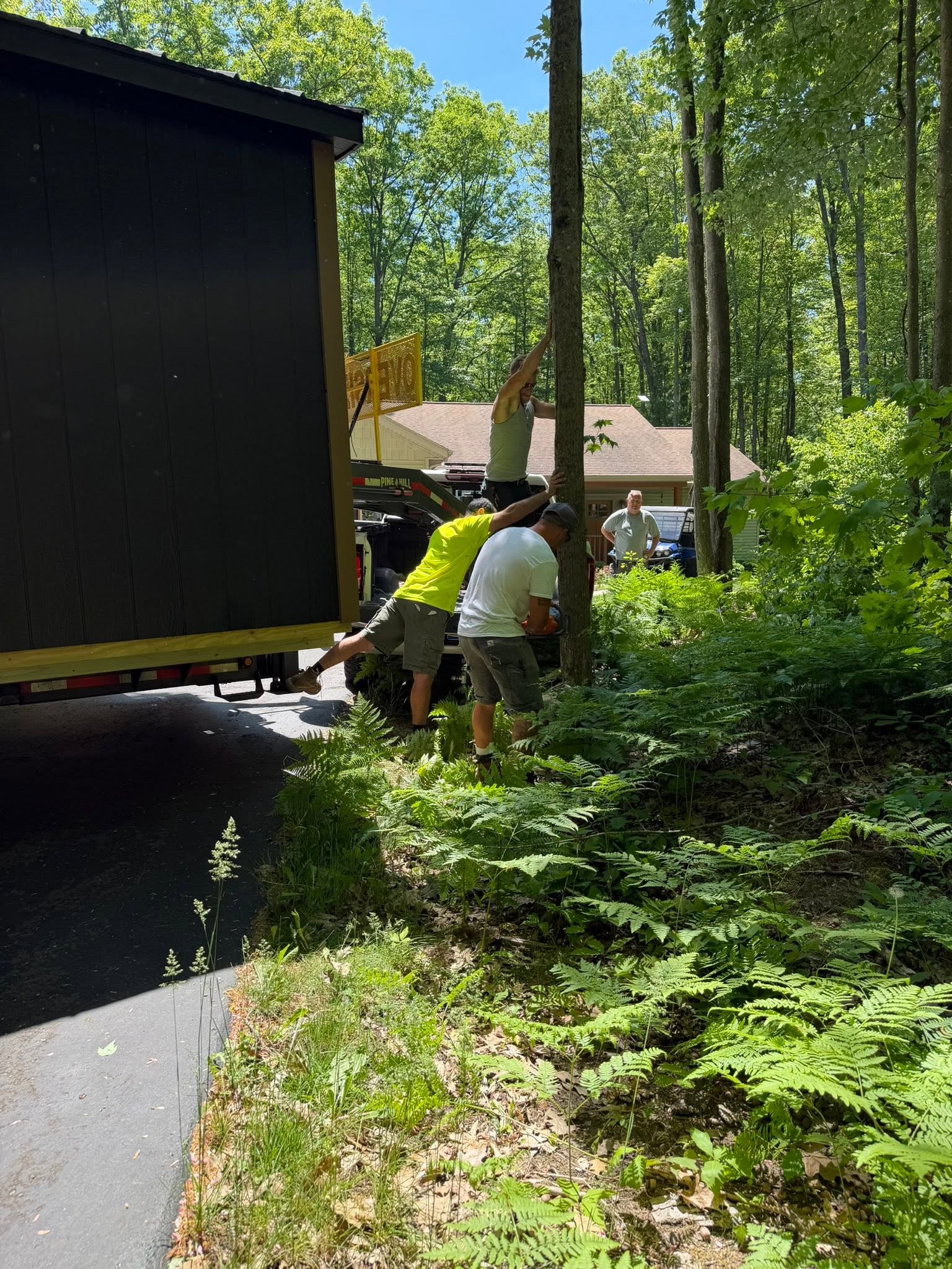 professional shed delivery